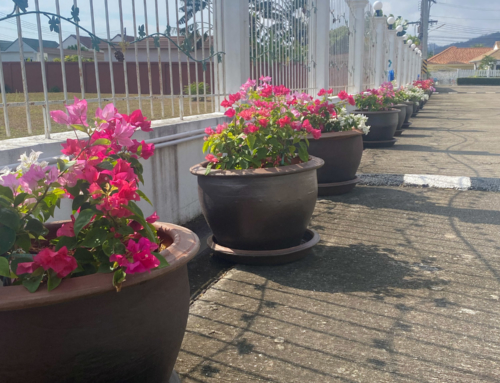 A Blooming Welcome at THP2